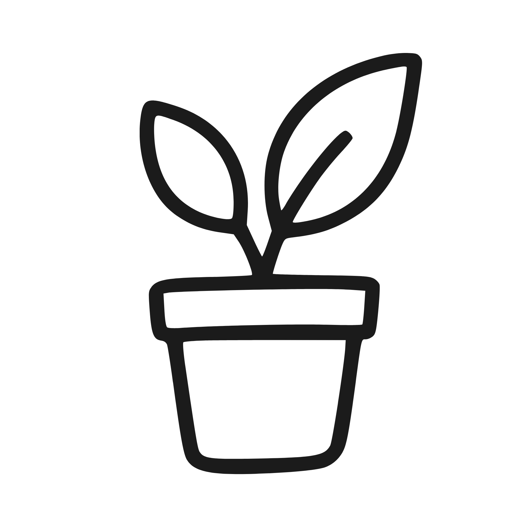 Annekay Ventures growing and selling greenery, pot plants, seeds and herbs